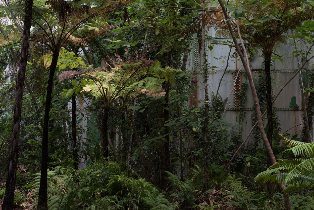 The Drowned World Michael Wang