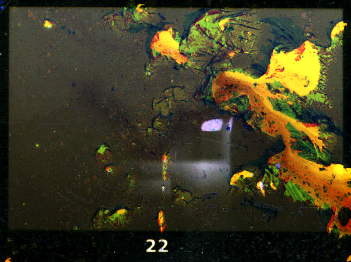 contact - Blake Lewis