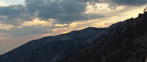 Sara Malakul Lane - Miko Lim