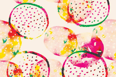 Craft Compendium - Sophie Banh