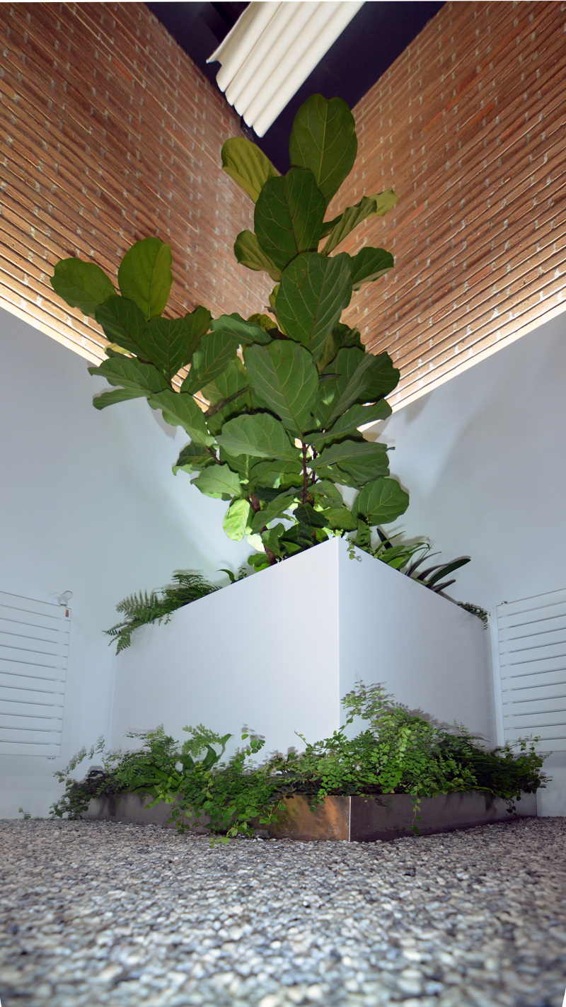 Patio de LUZ ACA Alfonso Cort Arquitecto