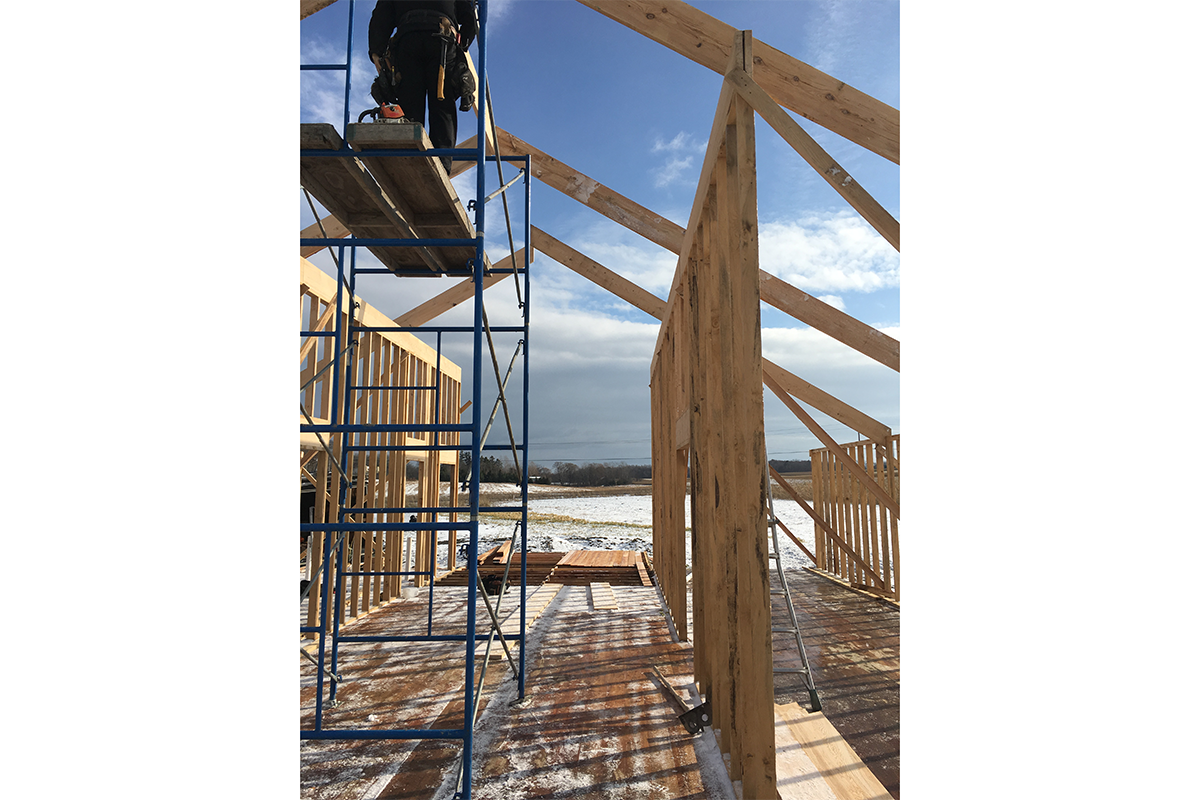 HONEY HOUSE Studio Ferrari Architecture