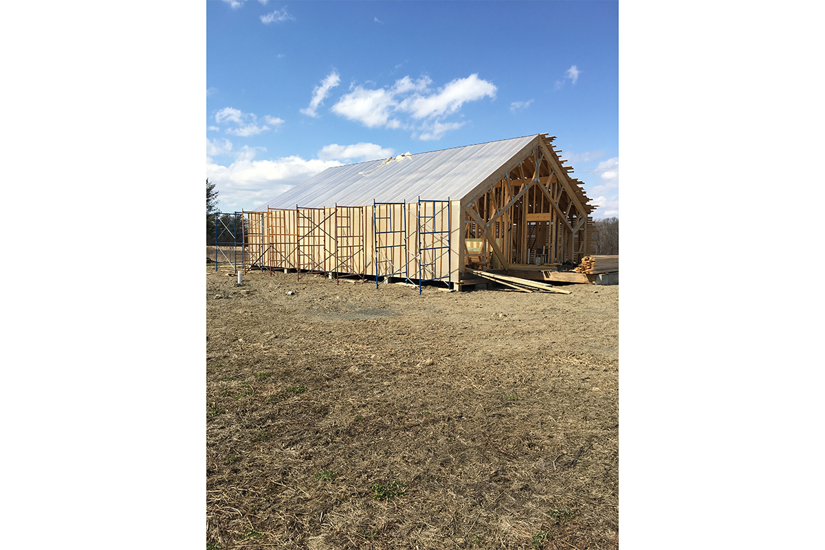 HONEY HOUSE Studio Ferrari Architecture