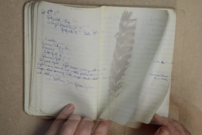 Field Notes Artist Field Notes - Susan Hughes Artist