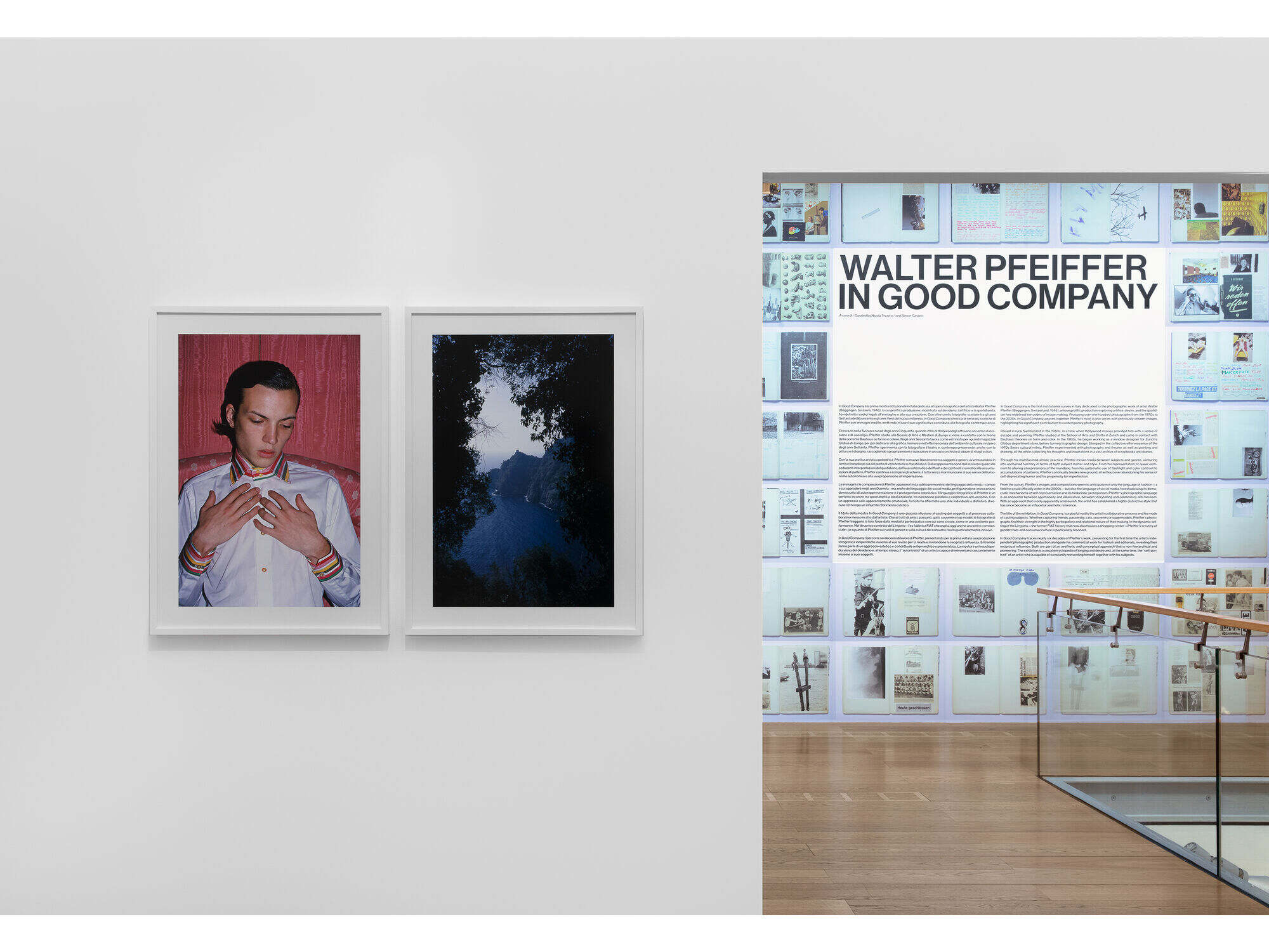 Walter Pfeiffer - Galerie Gregor Staiger
