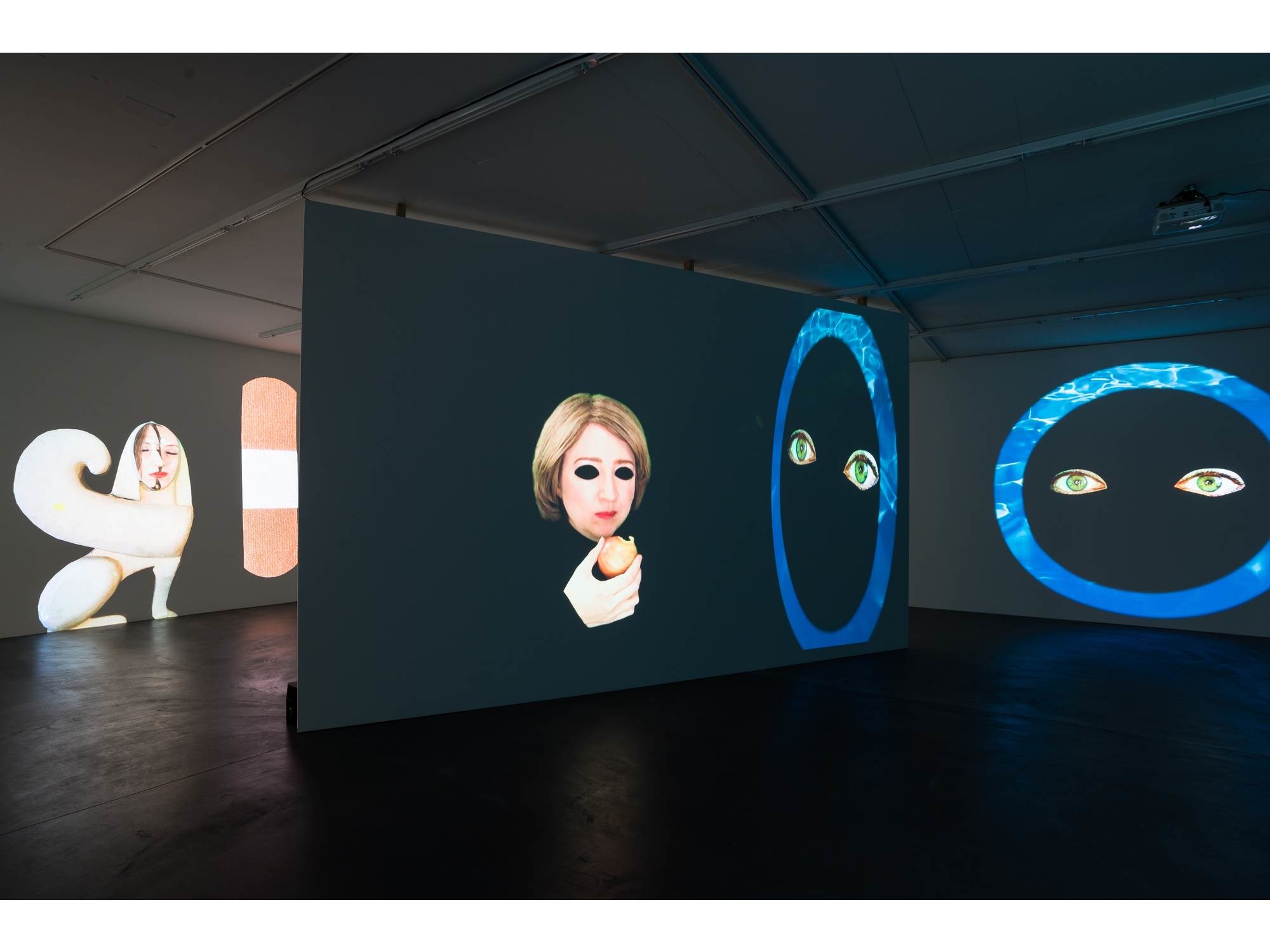 Shana Moulton Galerie Gregor Staiger