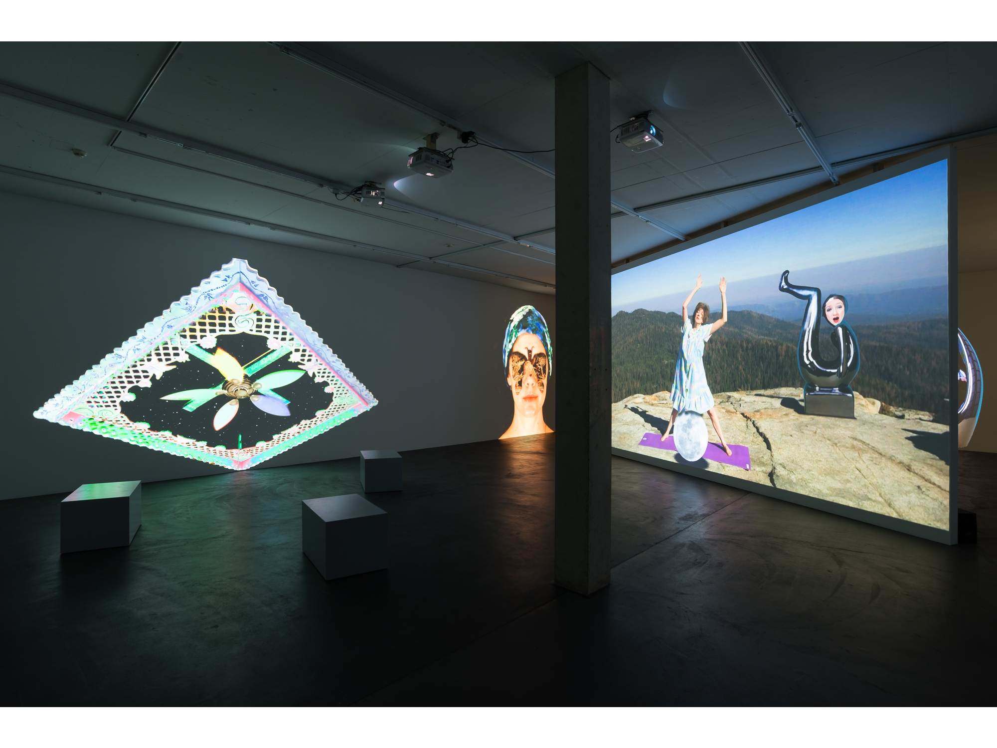 Shana Moulton Galerie Gregor Staiger