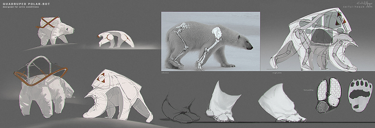 Icy Walk Saiful Haque