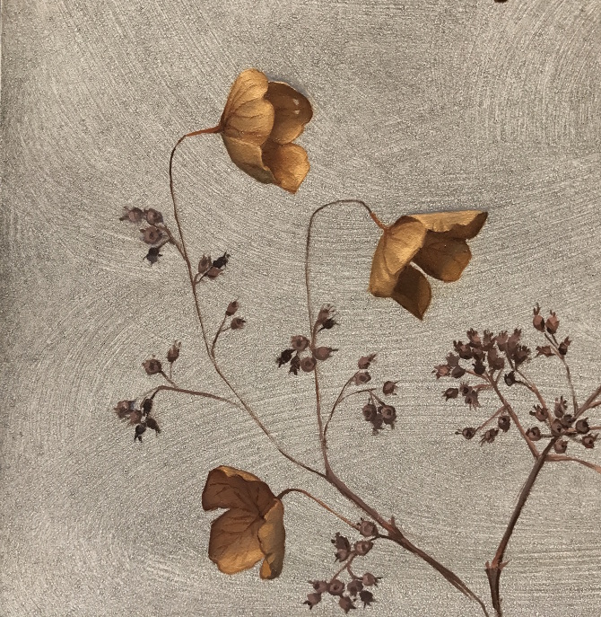 A Sketch of Dried Flowers Sally Fama Cochrane