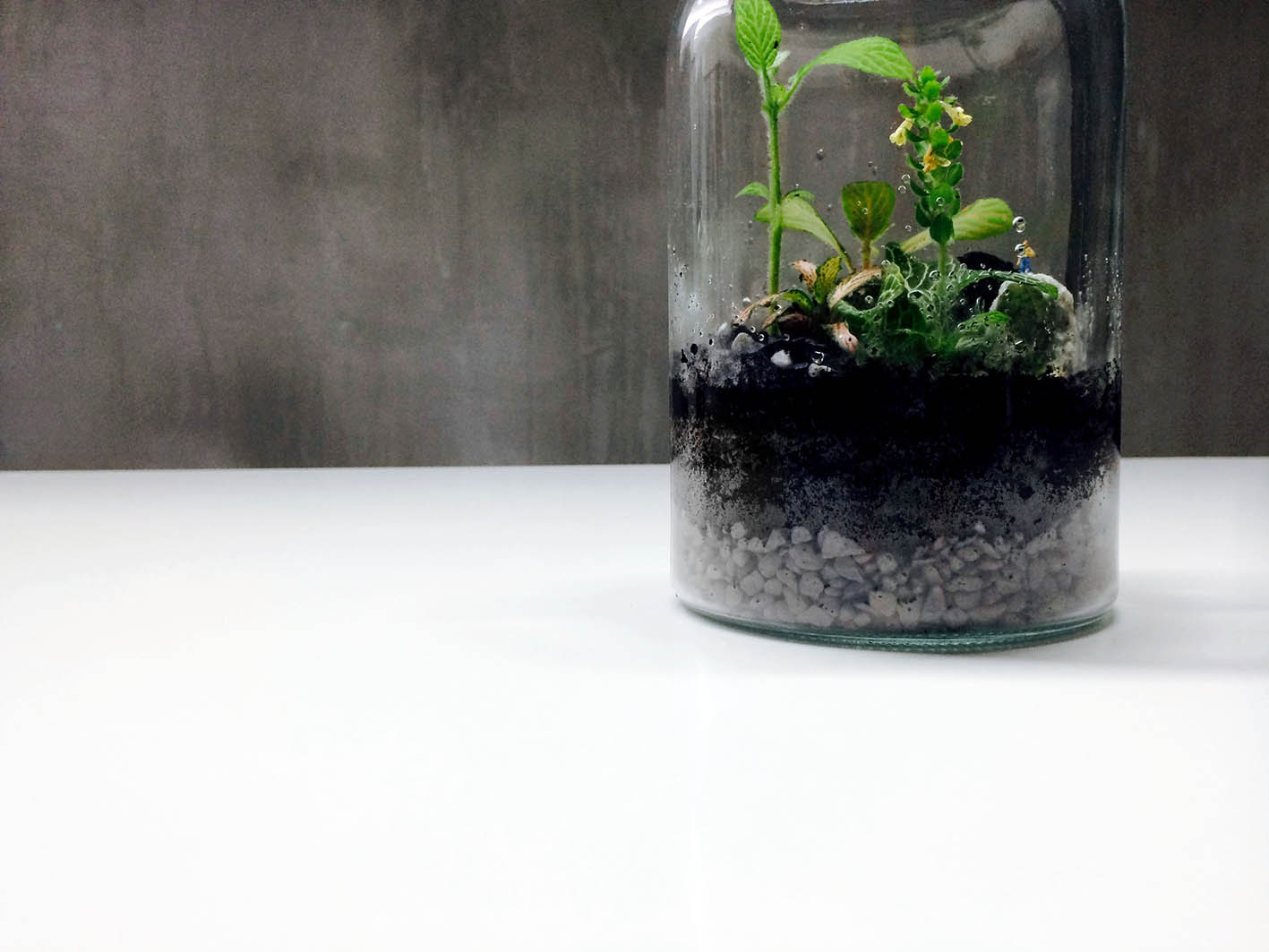 Explore the beauty ShareOn