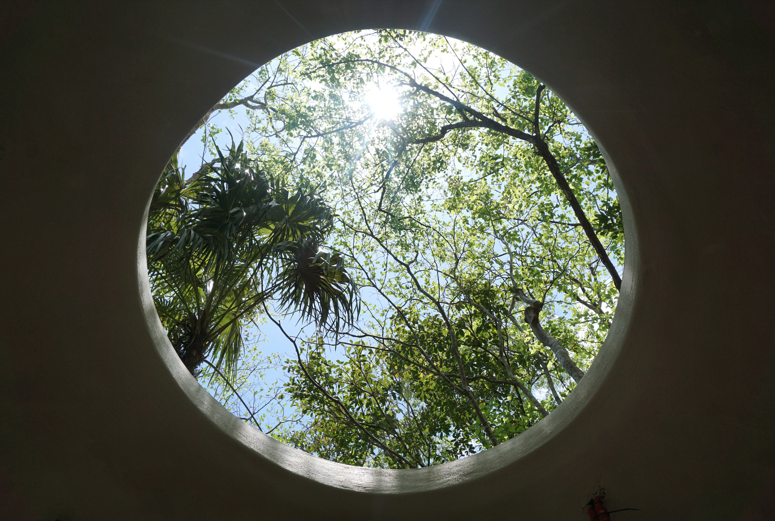 Kuxan Suum Aaron Glasson kuxan suum aaron glasson