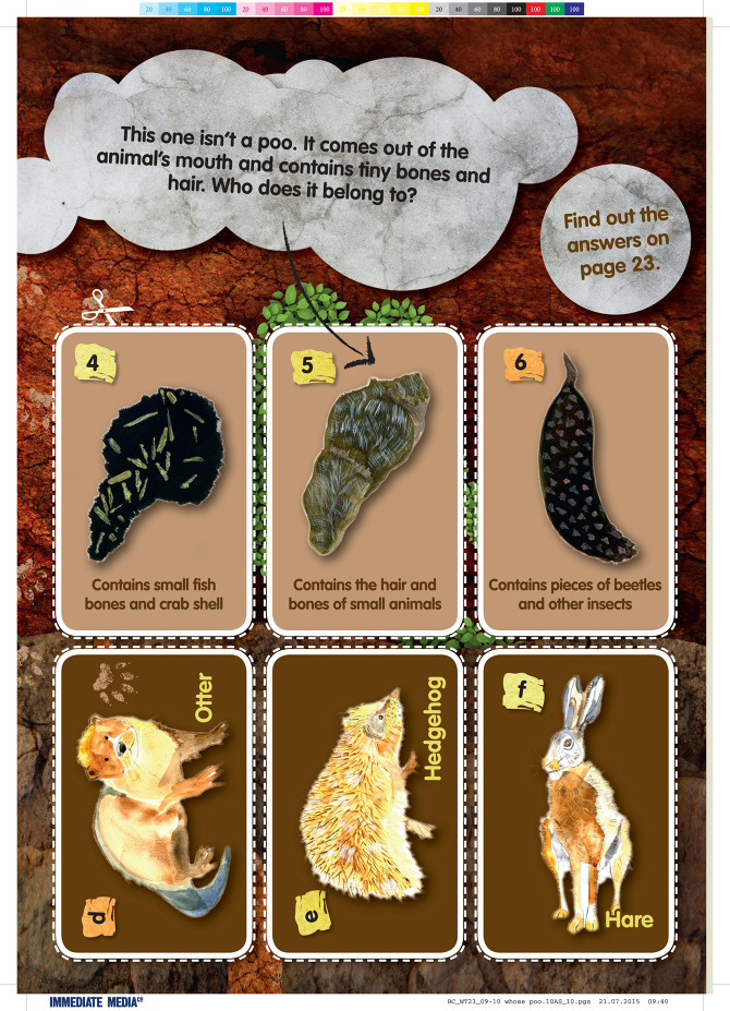 Rspb Graphics RSPB Illustrations - Sophie Lightfoot