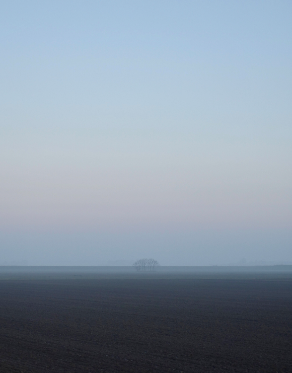 Silent landscape - Marjolein Maria