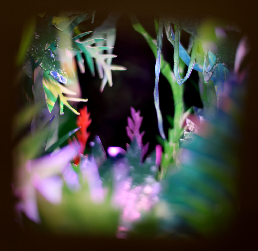 Visual Ethos - HaRe