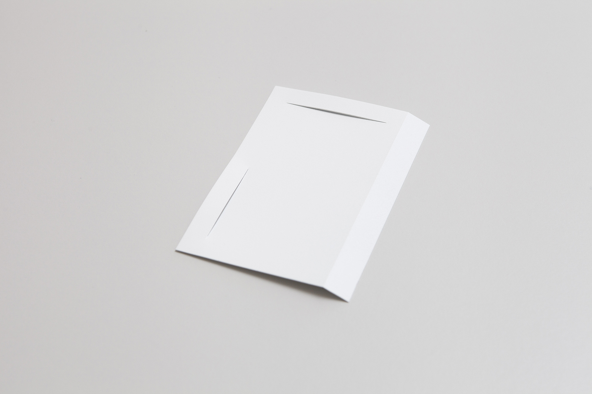 Fold in, fold out and a cut - rony schneider
