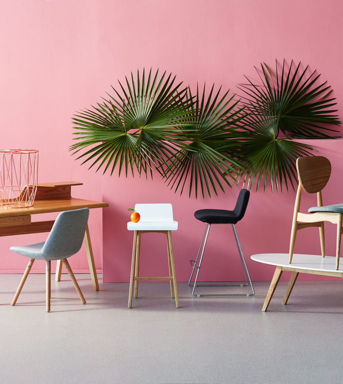 Temple & ster Nicole Valentine Don