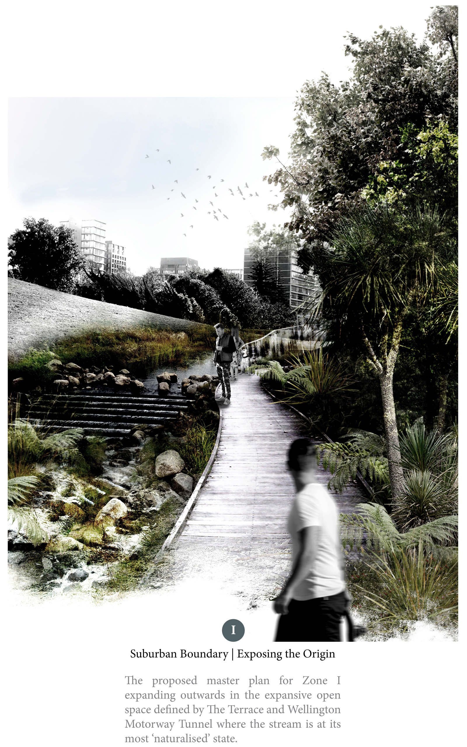 Pulse : The Forgotten Heartbeat of the Wellington Landscape - Oliver ...