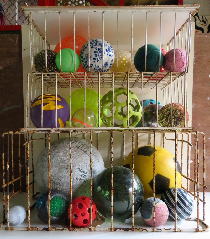 Boarding Kennels Paul Rowley