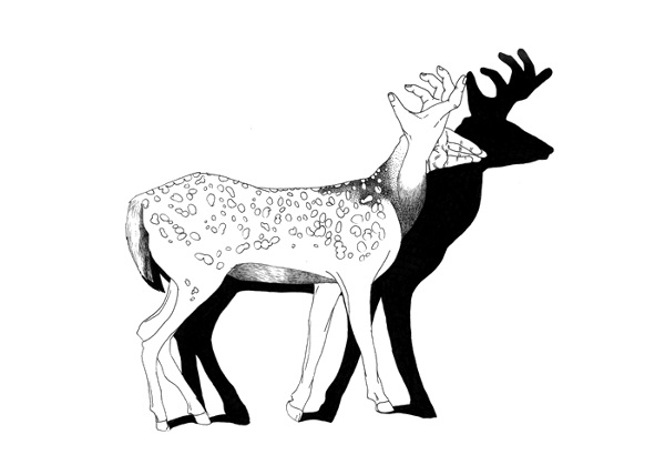 Zoomorphism Cecile Psicheer