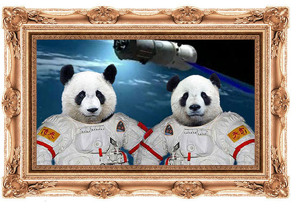 Chinese Space Panda Mission Museum Zhihan
