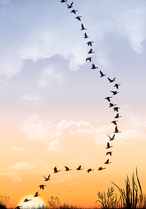 Chaz MaviyaneDavies Posters Without Borders International