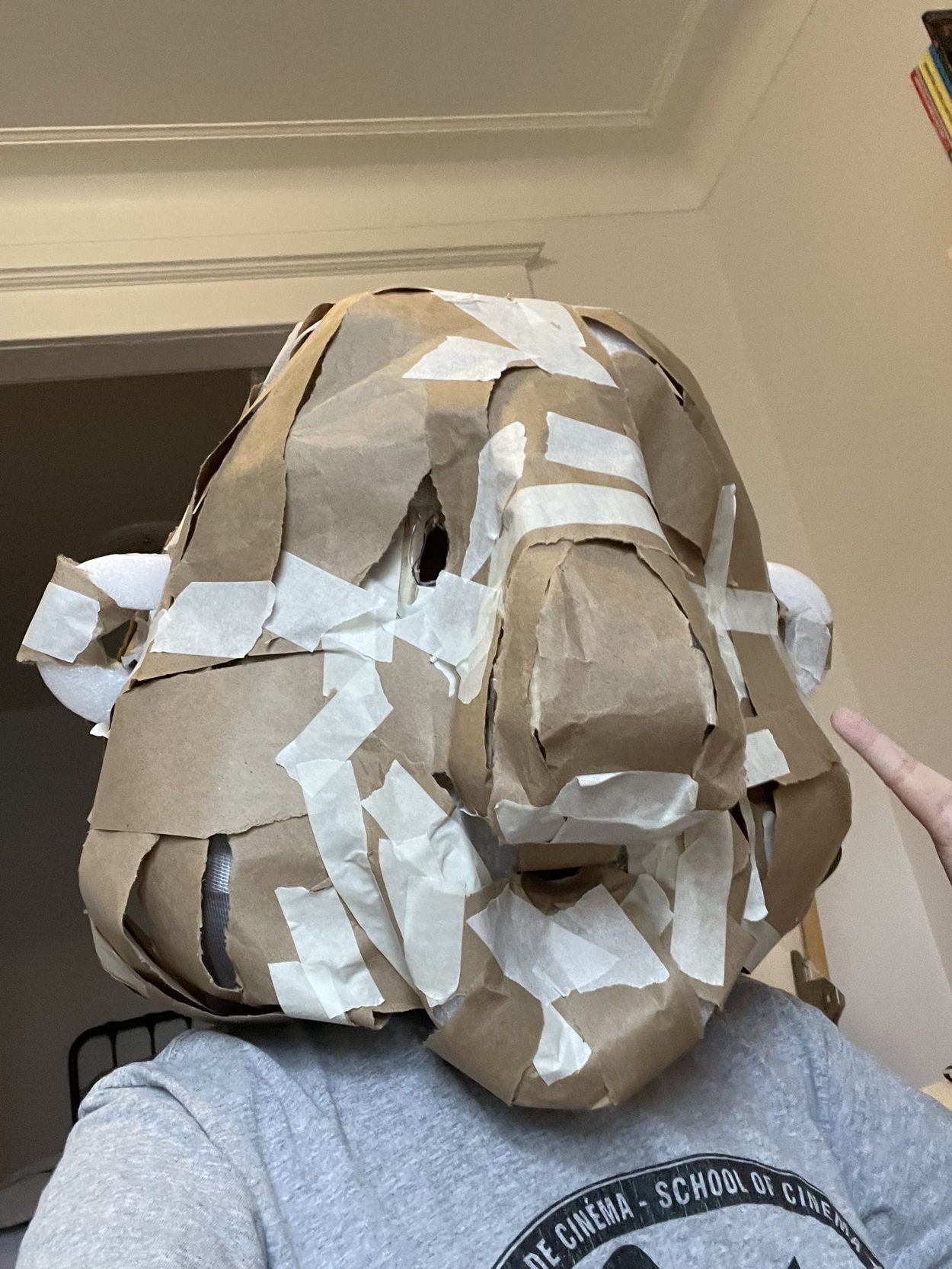 Volumetric Mask Structure Constructed from Paper Segments and Adhesive ...