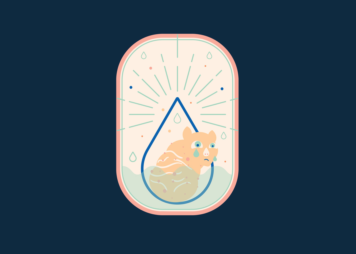 Steely Dan Icons Anjana Jain Chords for genesis squonk with lyrics in description. steely dan icons anjana jain