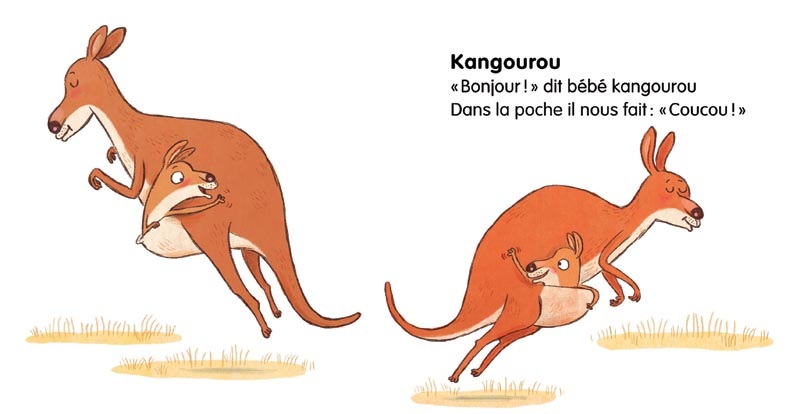 Le Dico Rigolo Des Animaux Tor Freeman