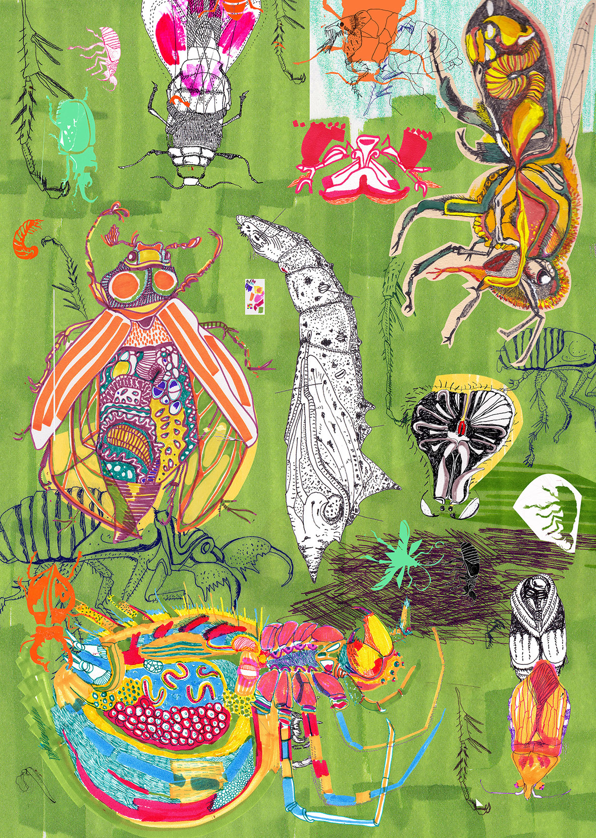Deviantart Insect Love Insects Love Fanzine - Hadas Friedland Hayun