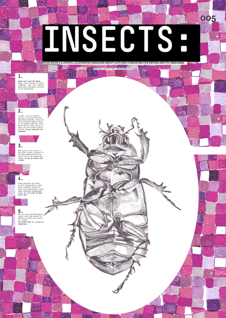 Insects Love Fanzine - Hadas Friedland Hayun