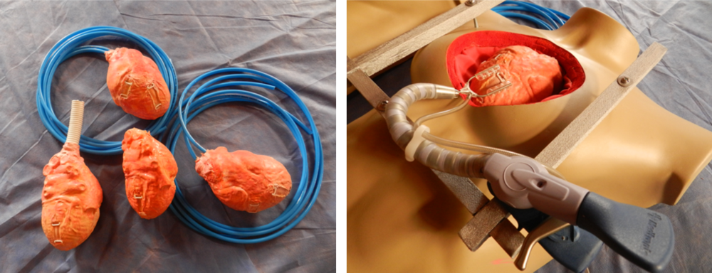 Real Heart Simulation Human Heart Simulator - jmonclou