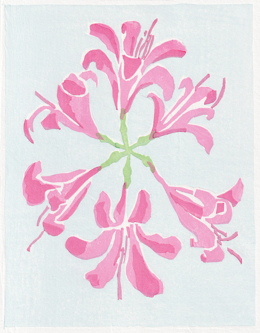 Resurrection Lily - Chemin Hsiao