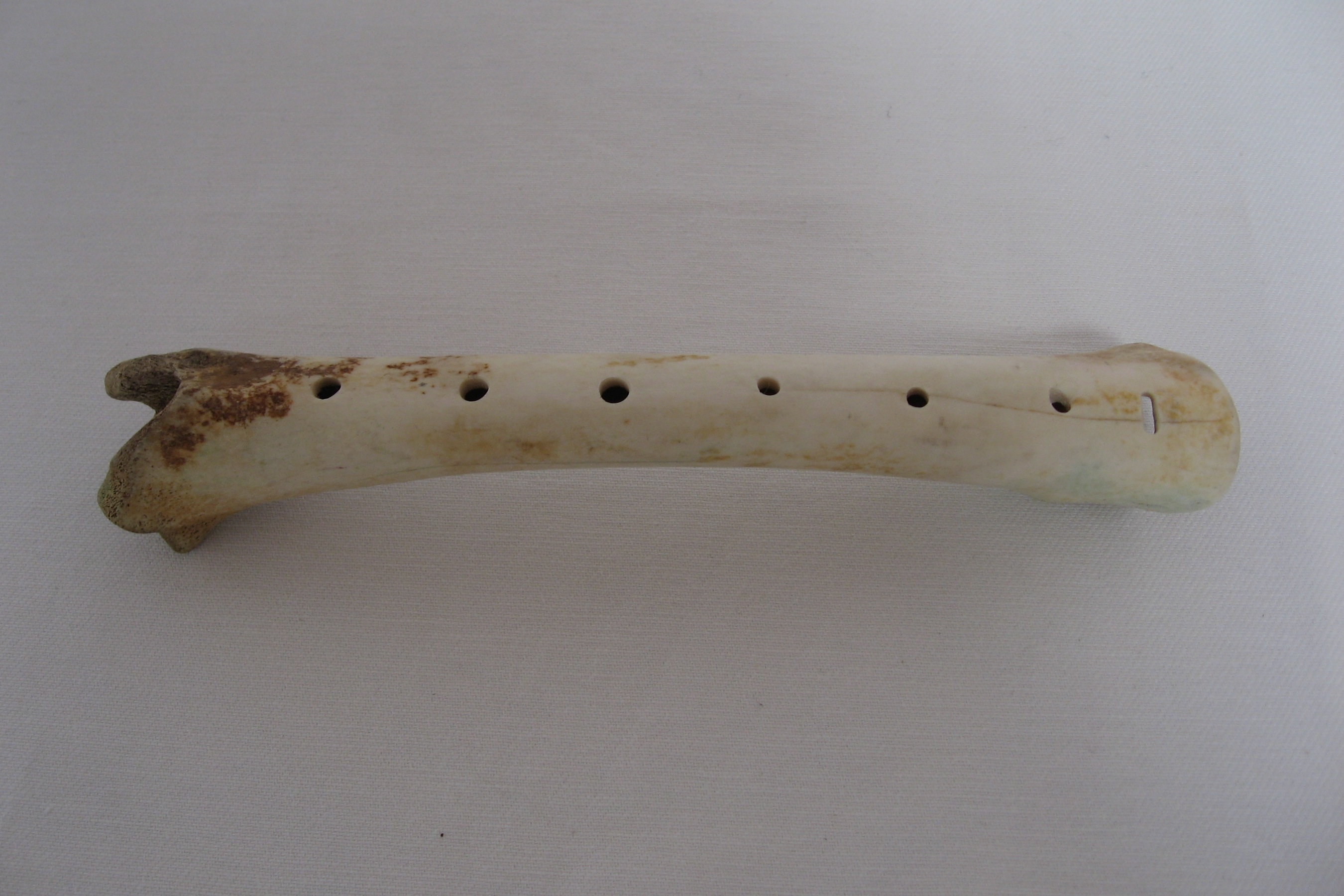 BONE FLUTE allisonesmith