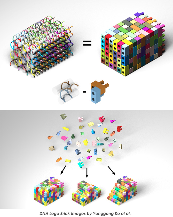 Lego Genetics Genetic Engineering of Urban Space - SPEC Cities