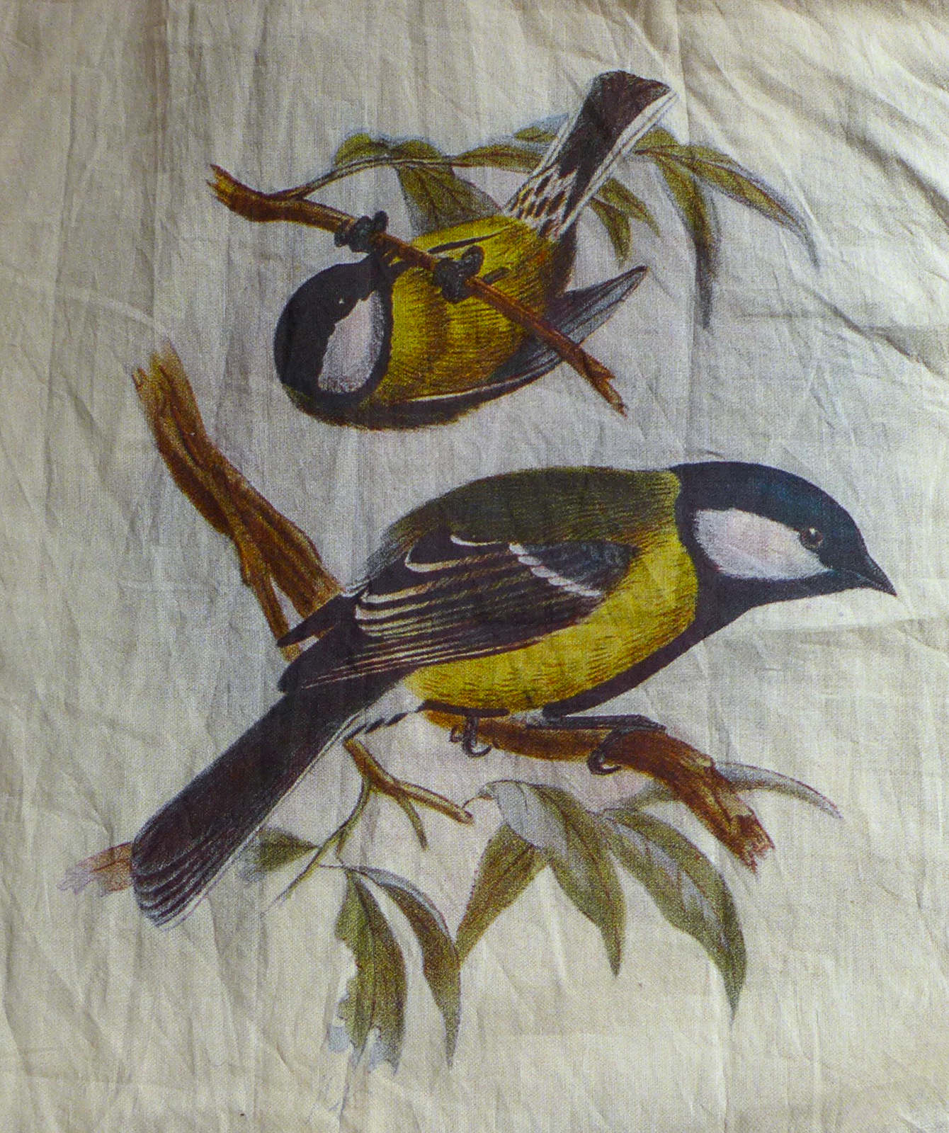 Paul Harnden Birds Shirt. - Walter Warren Walters
