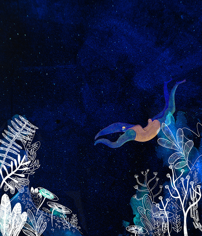 Océan de Terre sandrojiro