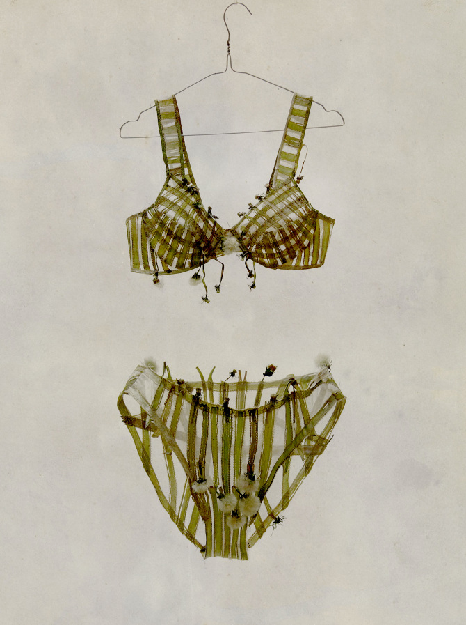 Loewenzahn-Dessous * Dandelion Lingerie - BeatriceOettinger