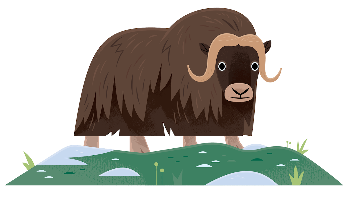 Ranger Rick Jr - Alexander Vidal Illustration