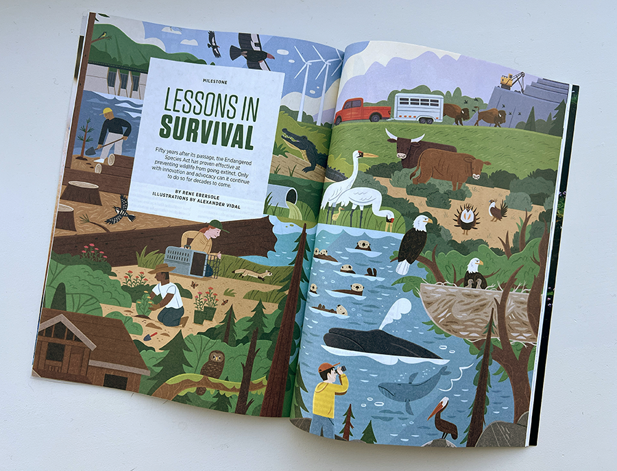 50 Years Of The Endangered Species Act Alexander Vidal Illustration