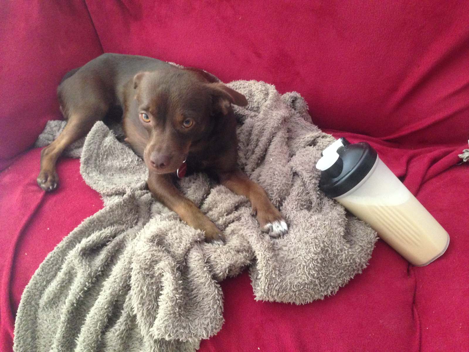 QUÉ SUCEDE SI PASAS UNA SEMANA TOMANDO SATISLENT - Sabina Urraca, image size:1600x1200