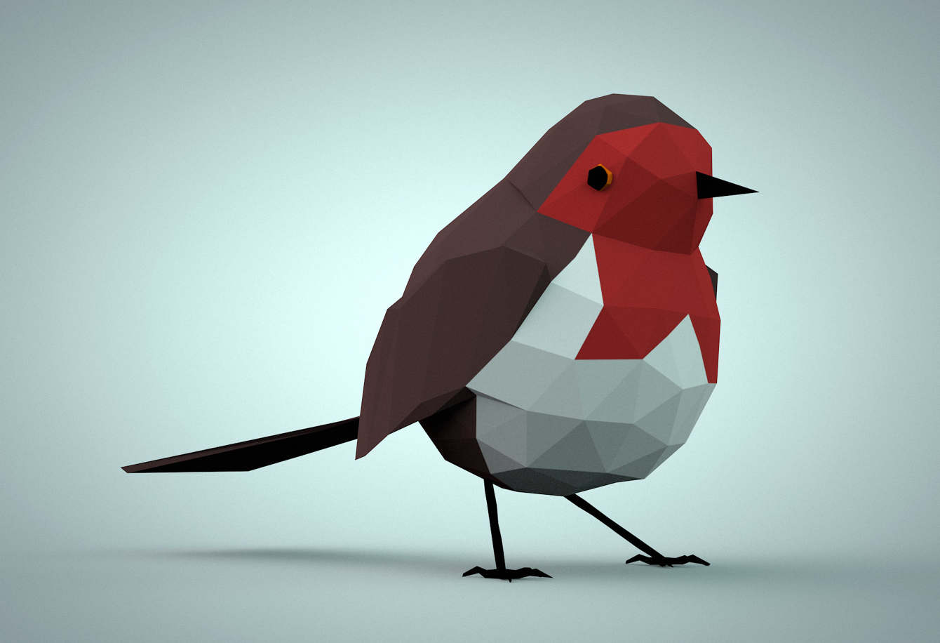 Robin - aswhiteart