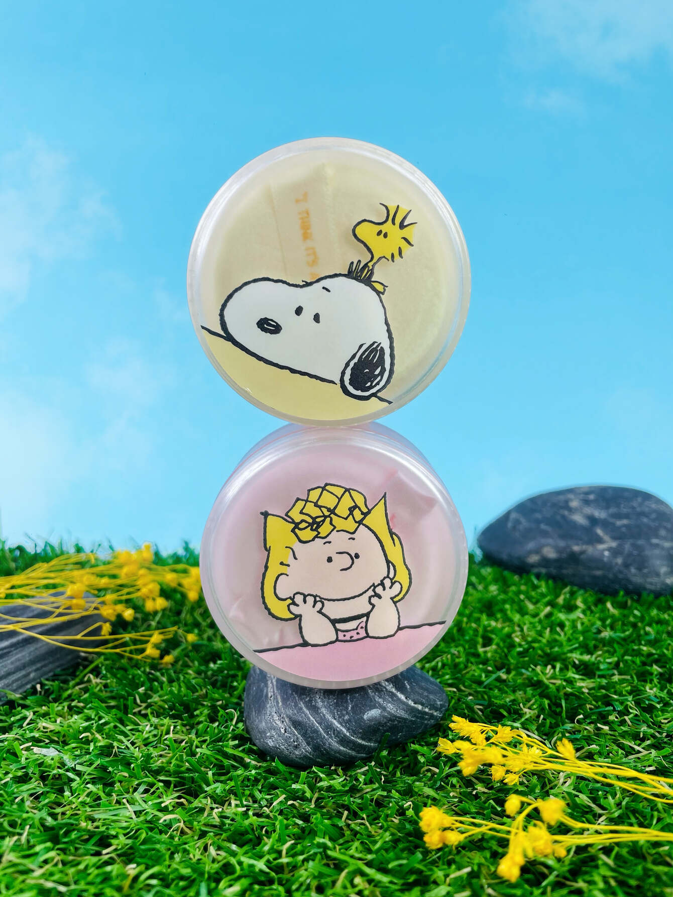 Innisfree x Peanuts Collection 2022 Portfolio