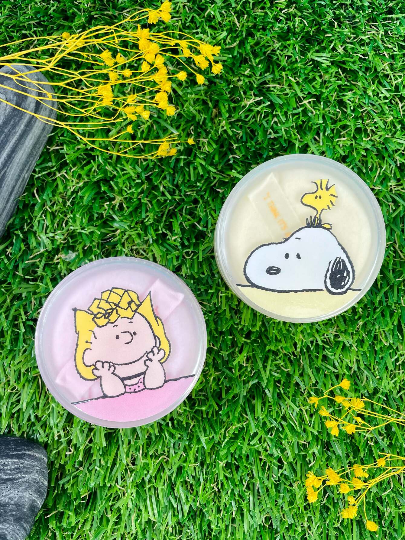 Innisfree x Peanuts Collection 2022 Portfolio