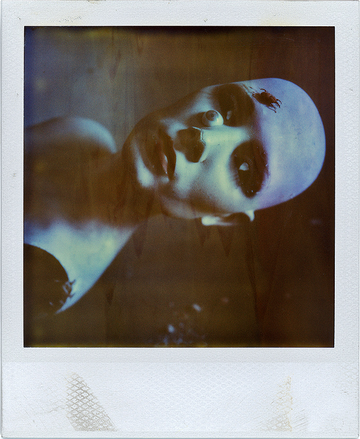 The Wax House Brian Henry