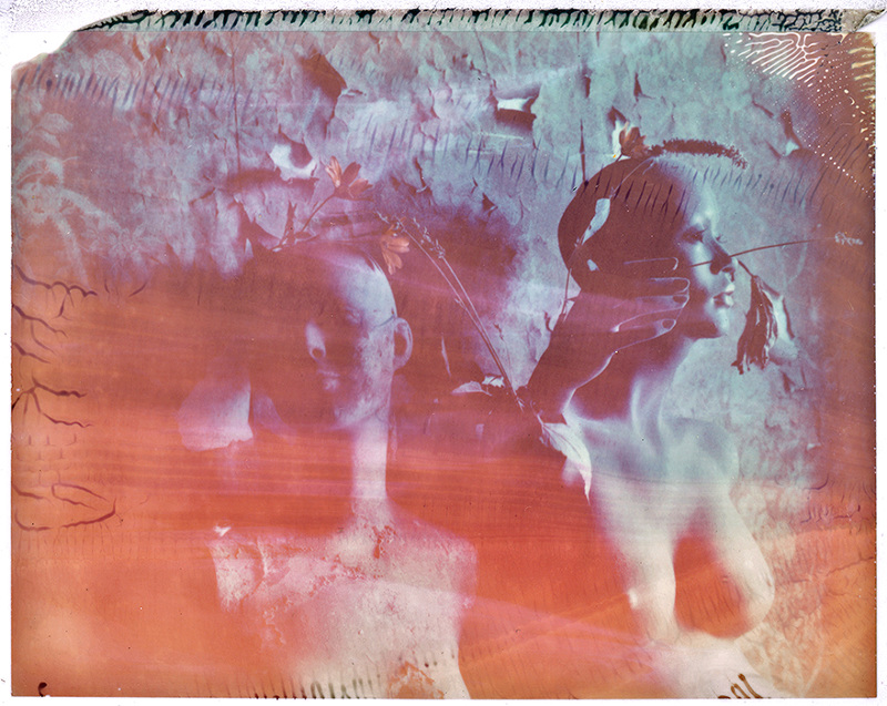 The Wax House Brian Henry