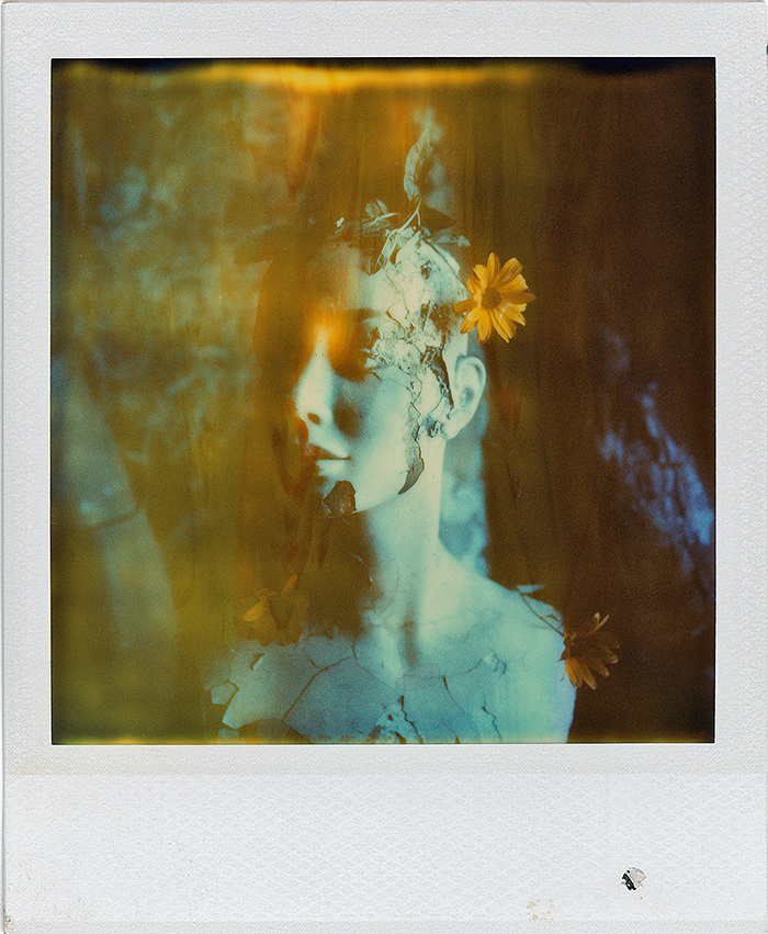 The Wax House Brian Henry