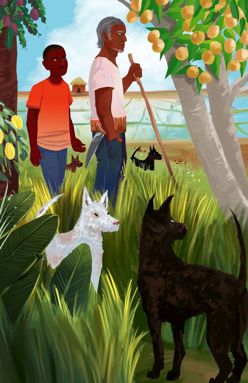 Caribbean Modern Classics Amw Illustration Design