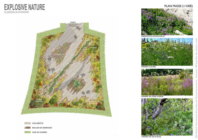 EXPLOSIVE NATURE - Marguerite Ribstein Paysagiste