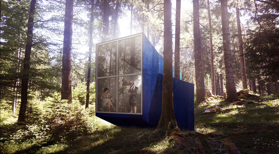 Beetle house project jura
