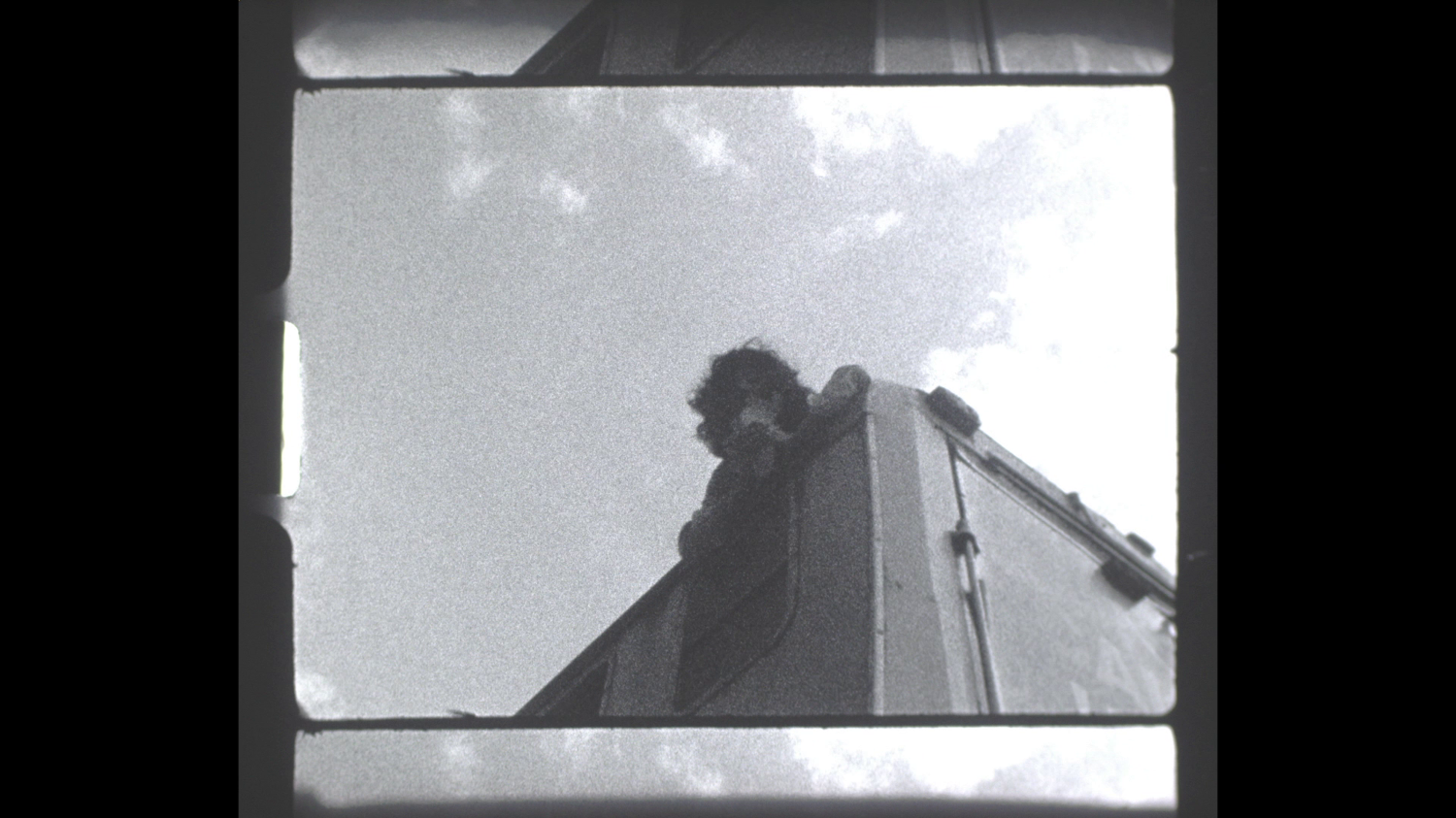 Where Pain Thrives Mariapiafanigliulo Com